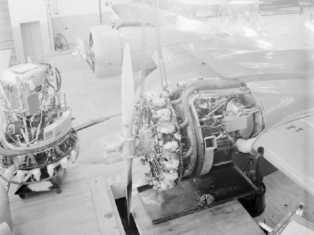 Starboard engine on an Ellis Air Lines Grumman Goose