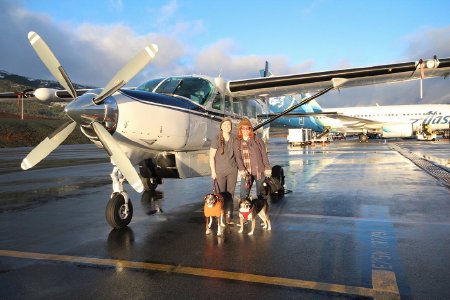 Traveling veterinary care