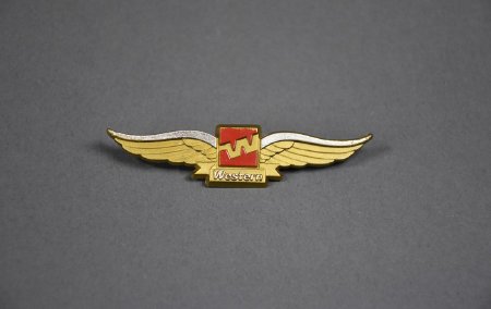 Pin, Lapel                              