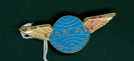 Pan Am Junior Clipper Wing pin