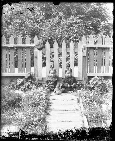 Negative, Glass Plate                   