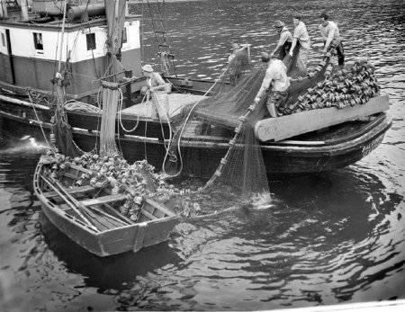 Seine Boat 