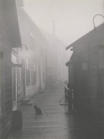 Creek Street in heavy fog