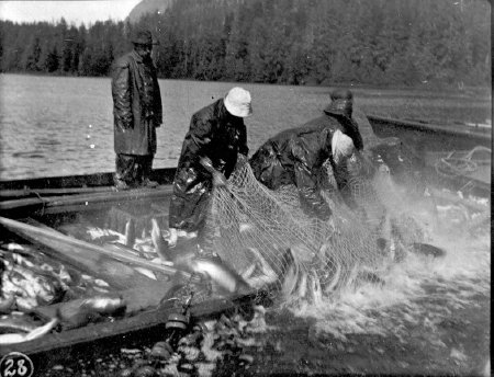 Hand seining, Loring, 1908