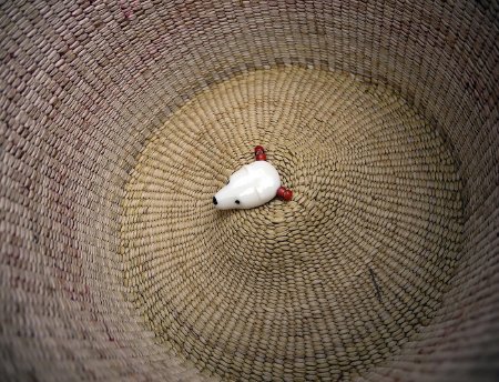 Basket interior detail