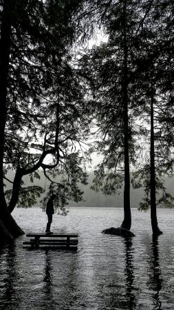 Flooding at Ward Lake