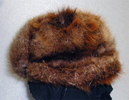 Fur trapper's hat