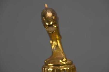 Trophy - fish detail