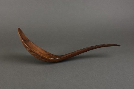 Horn spoon