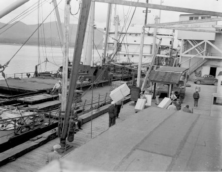 Longshoremen Loading Boxes of Frozen Halibut onto a Steamship, 1953