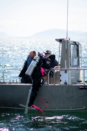 Whitney Crittenden Climbs Ladder after Survey Dive