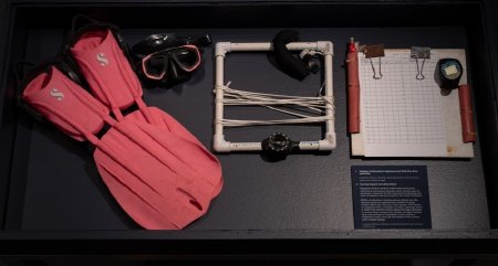 Whitney Crittenden's Dive Fins and Mask with Herring Square and Data Sheet