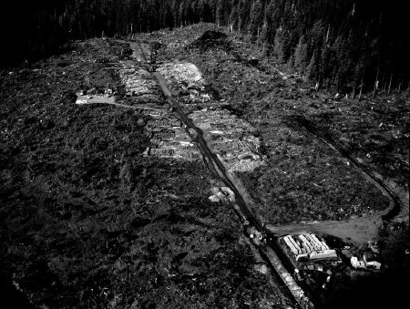 Tongass View housing project