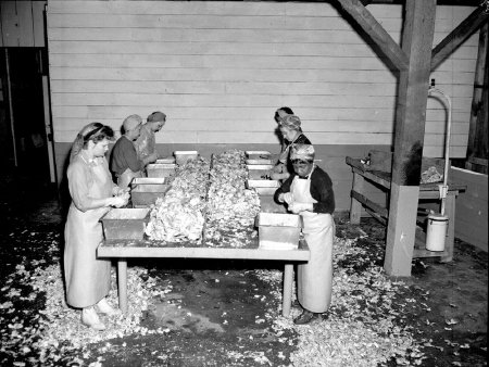 Pacific Pearl of Alaska crab cannery