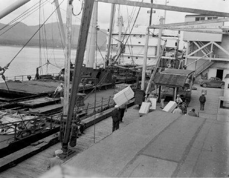 Loading Frozen Halibut, Ketchikan Cold Storage, 1953