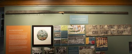 Herring rake on display in Sustaining Community, 2022